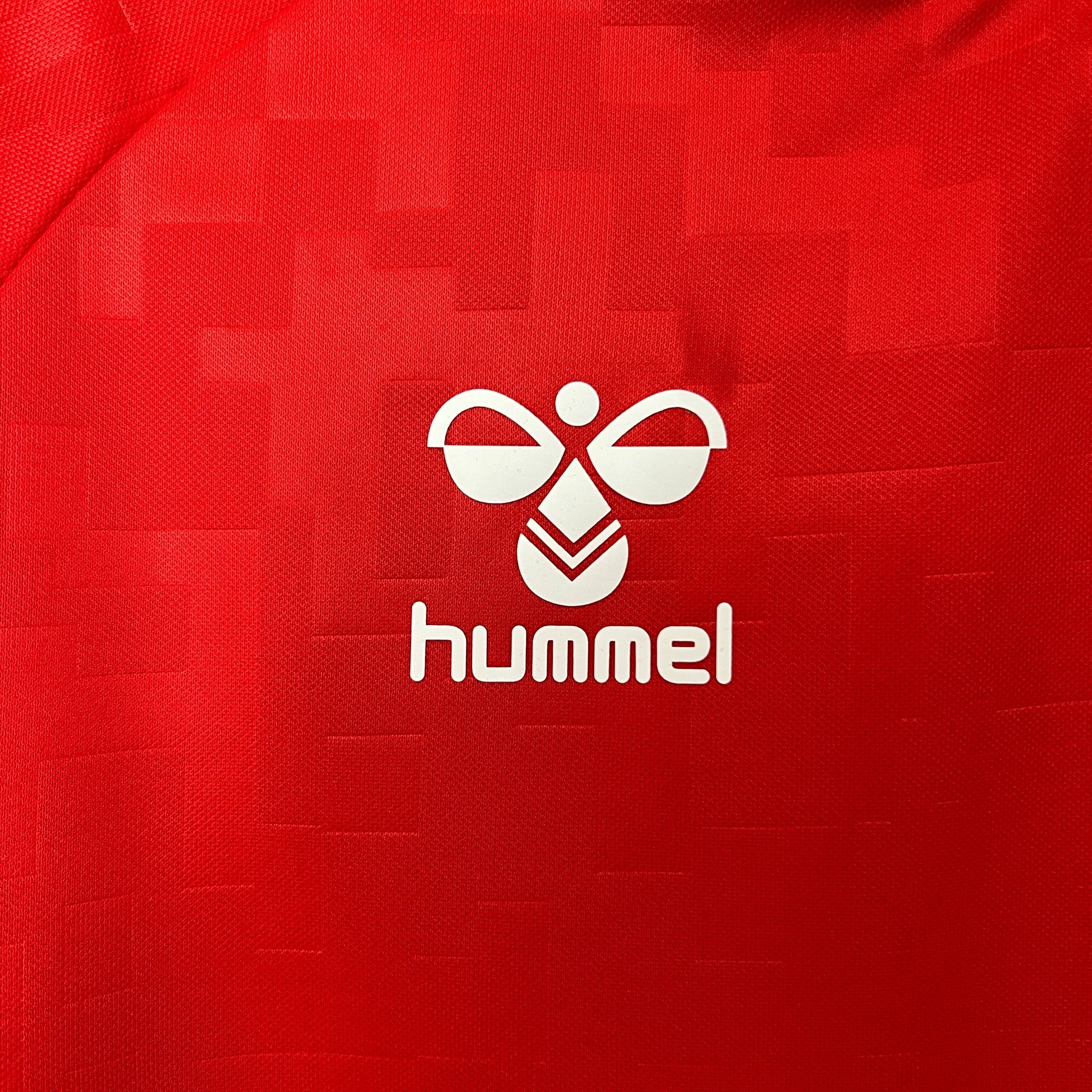 Dänemark 2024 Heimtrikot